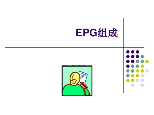 EPG组成