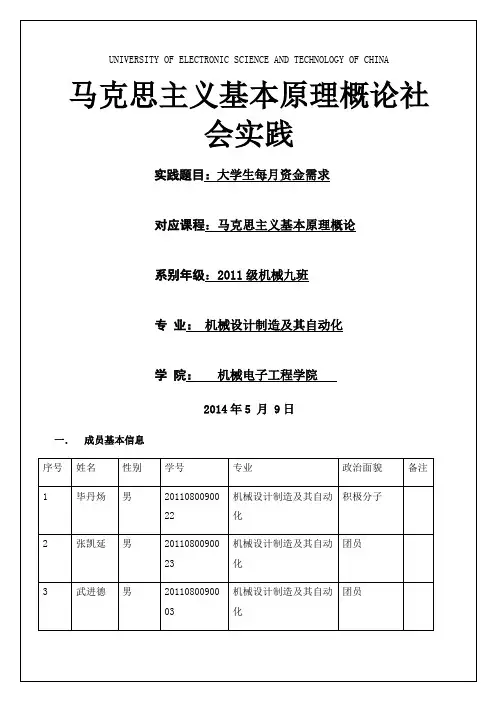 马克思主义基本原理概论社会实践报告