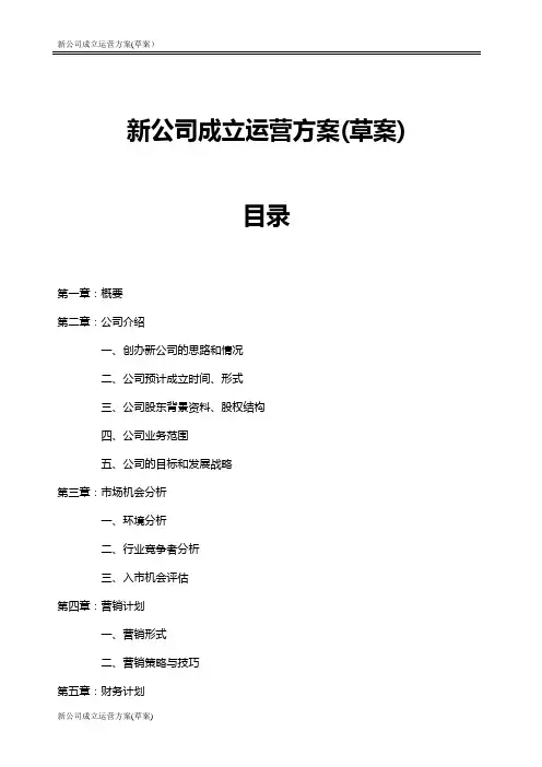 新公司成立运营方案(草案)