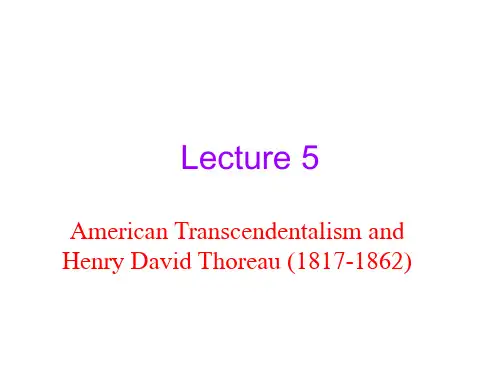 美国文学Lecture 5