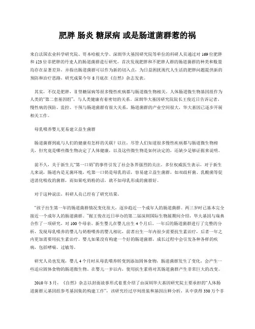 肥胖 肠炎 糖尿病 或是肠道菌群惹的祸