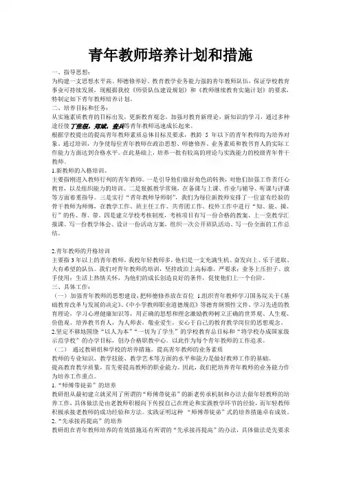 青年教师培养与措施
