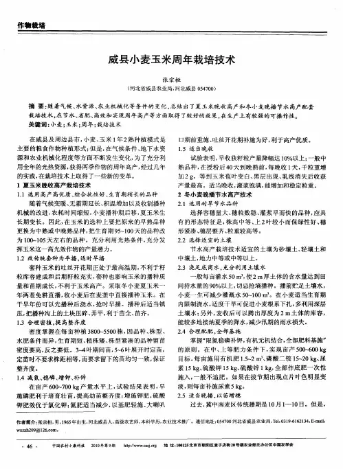 威县小麦玉米周年栽培技术