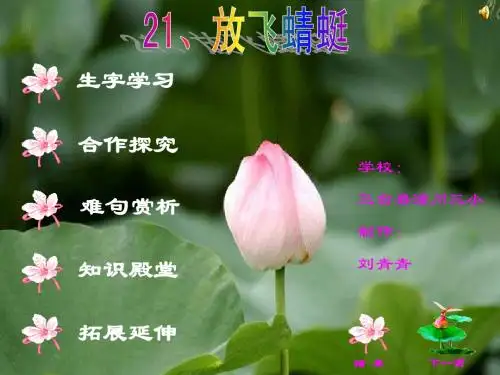 放飞蜻蜓课件