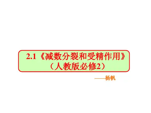 2.1《减数分裂和受精作用》(人教版必修2)