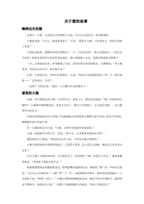 关于猫的故事