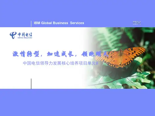战略与执行的力量(IBM业务领先模型)B
