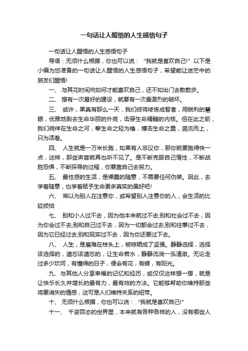 一句话让人醒悟的人生感悟句子