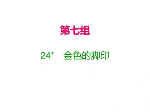 六年级上册语文课件-24  金色的脚印｜人教新课标(含答案)