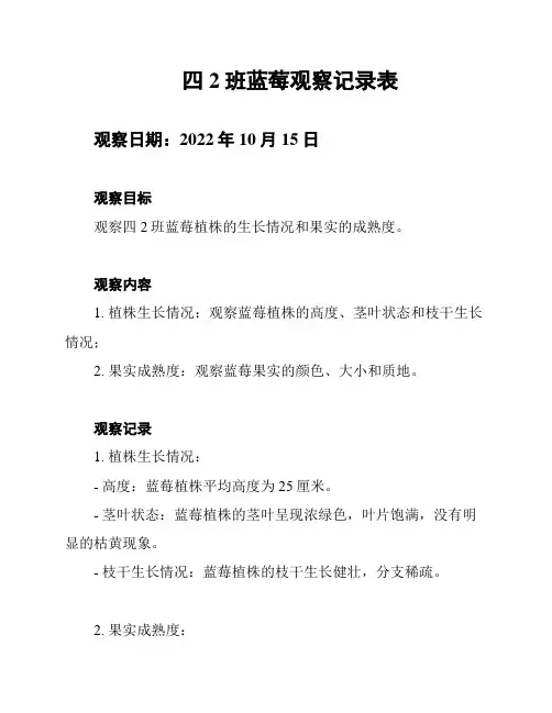 四2班蓝莓观察记录表