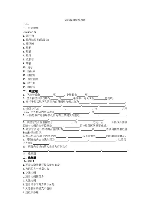 局部解剖练习题 下肢