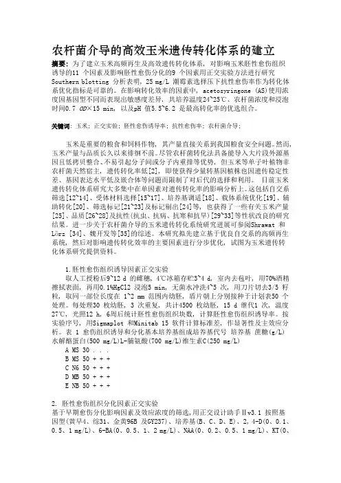 农杆菌转化