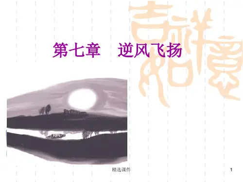 幸福心理学第七章逆风飞扬