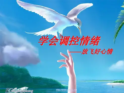 小学生《学会调控情绪放飞好心情》心理健康教育主题班会