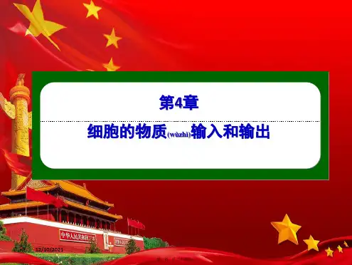 高中生物 第4章 细胞的物质输入和输出 3 物质跨膜运输的方式课件高中必修1生物课件