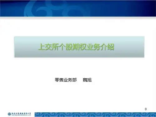 个股期权培训精品PPT课件