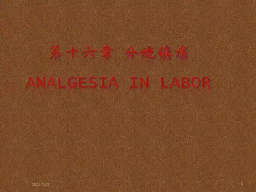 《分娩镇痛》PPT课件