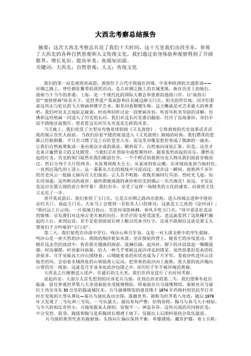 大西北考察总结报告
