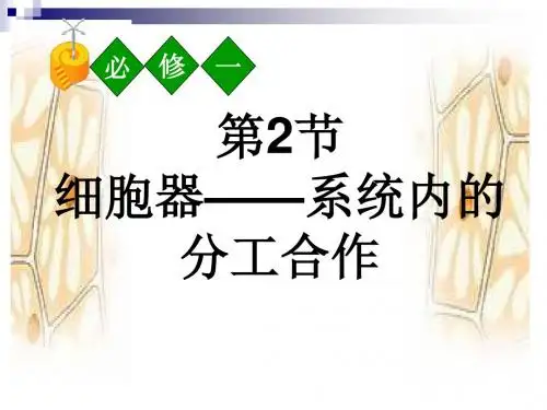 人教版必修一第三章第2节细胞器——系统内的分工合作     课件(78张)