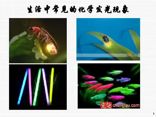 10.化学发光分析法