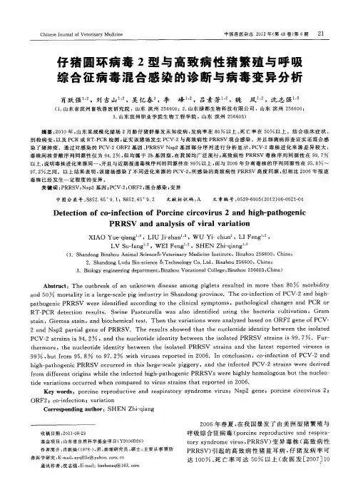 仔猪圆环病毒2型与高致病性猪繁殖与呼吸综合征病毒混合感染的诊断与病毒变异分析