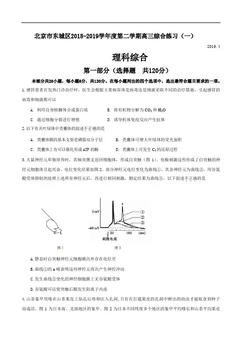 (完整word版)2019东城区高三生物一模试题及答案