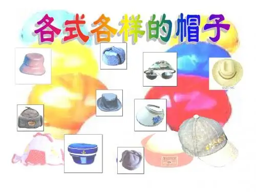 各式各样的帽子