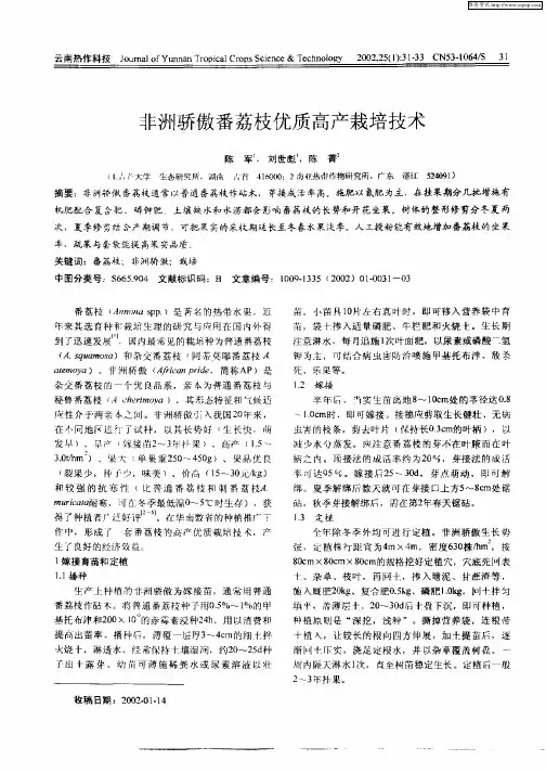 非洲骄傲番荔枝优质高产栽培技术