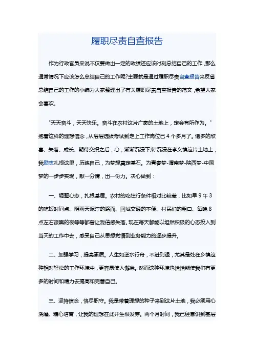 履职尽责自查报告