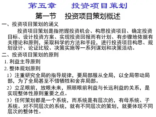 投资项目分析与评价 第 5 章