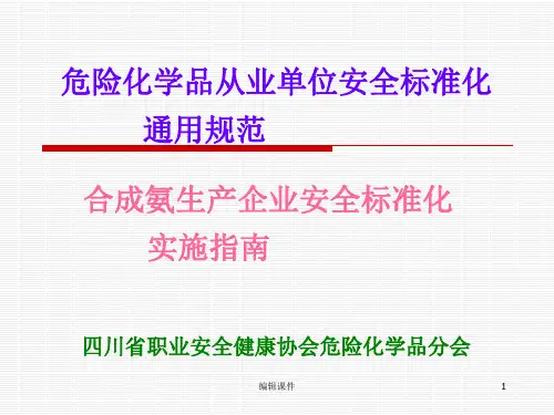 合成鞍生产企业安全标准化要素讲解