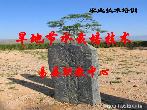 旱地节水栽培技术