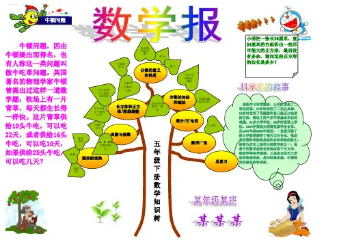 数学手抄报数学电子小报成品,数学手抄报模板,数学乐园趣味数学简报,小学生数学与生活板报