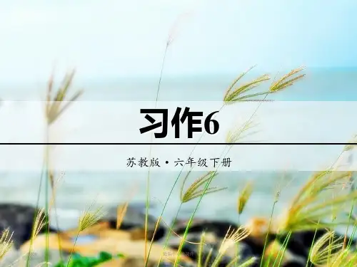 最新苏教版六年级语文下册全套课件习作6