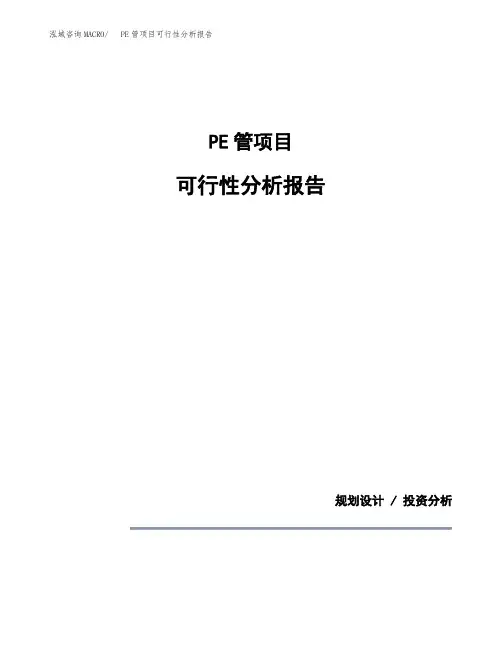 PE管项目可行性分析报告(模板参考范文)
