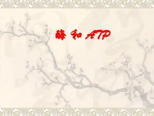 生物:酶和ATP