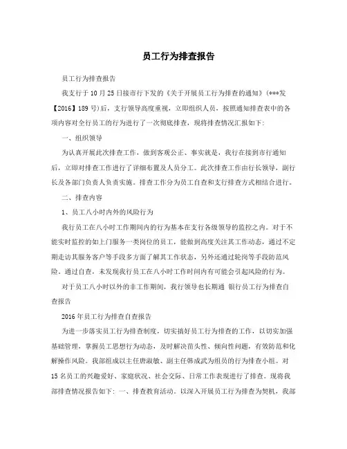 员工行为排查报告
