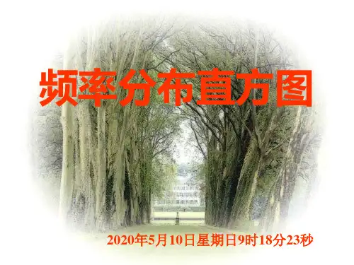 频率分布直方图