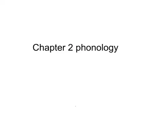 语言学phonology音韵学
