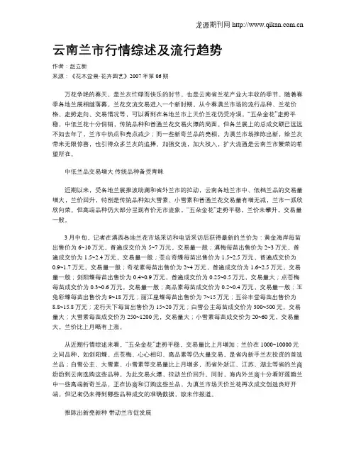 云南兰市行情综述及流行趋势