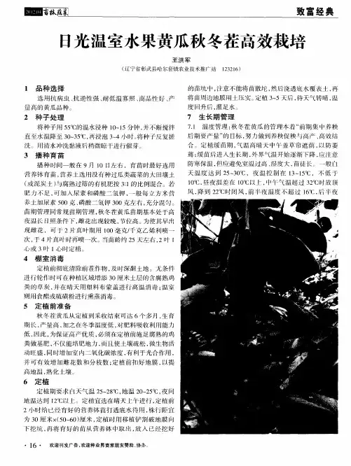 日光温室水果黄瓜秋冬茬高效栽培