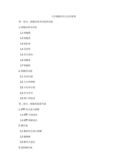 工作细胞知识点总结框架