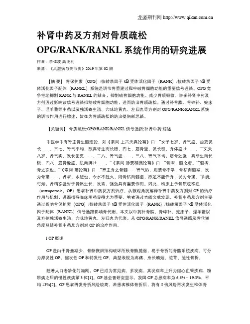 补肾中药及方剂对骨质疏松OPGRANKRANKL系统作用的研究进展