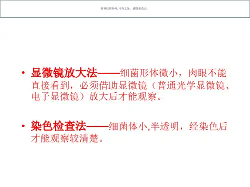 细菌形态和结构检查法