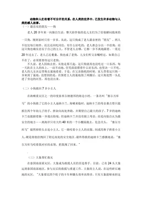 有关动物与人的感人小故事10篇