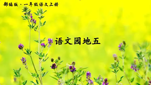 人教版一年级上册语文园地五课件