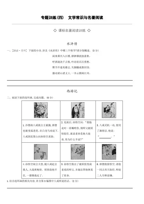 2019年浙江省中考语文(人教版)总复习(练习)：文学常识与名著阅读 (2)。