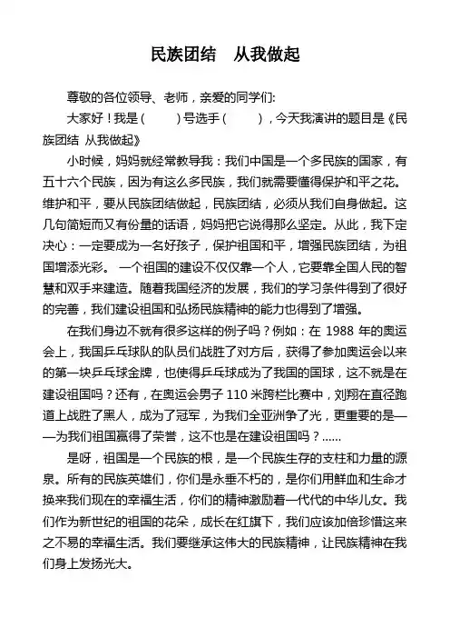 民族团结从我做起演讲比赛