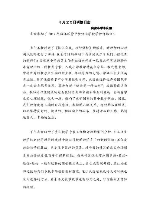 小学数学骨干教师数与代数研修日志
