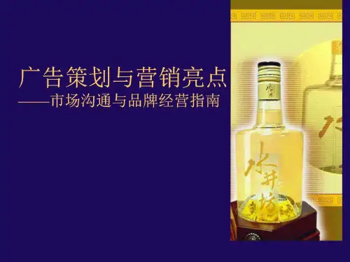广告策划与营销亮点
